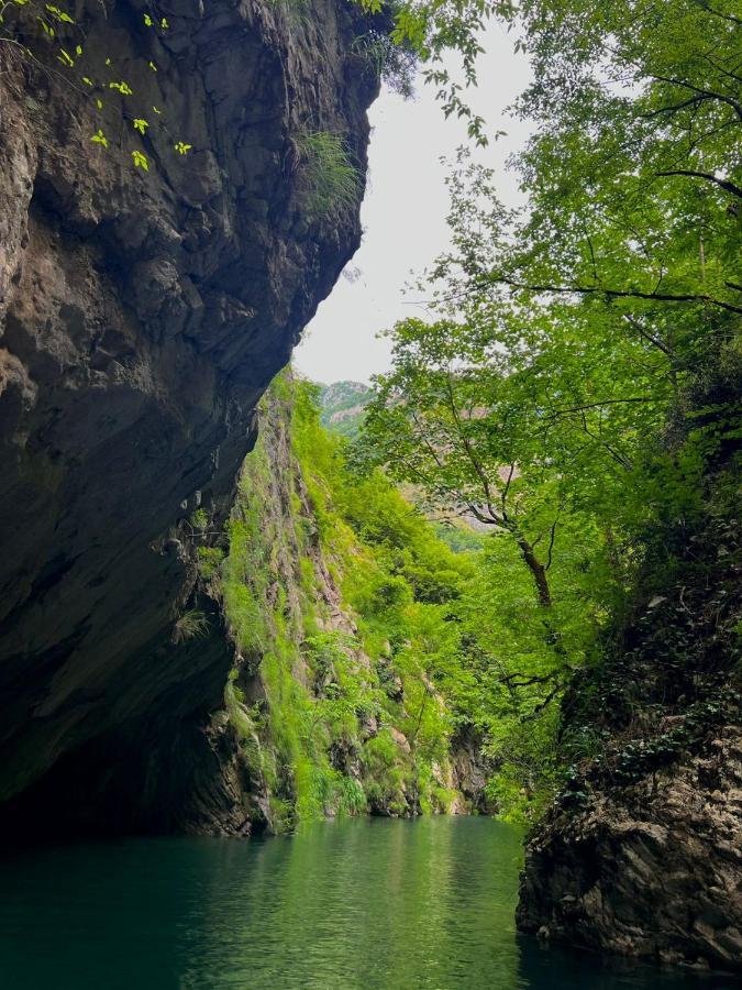 Готель Neomalsore Agrotourism, Komani Lake Екстер'єр фото